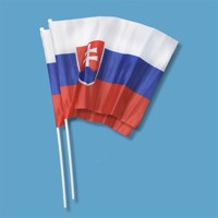 Slovensko Vlajka mávatko 30 x 20 cm